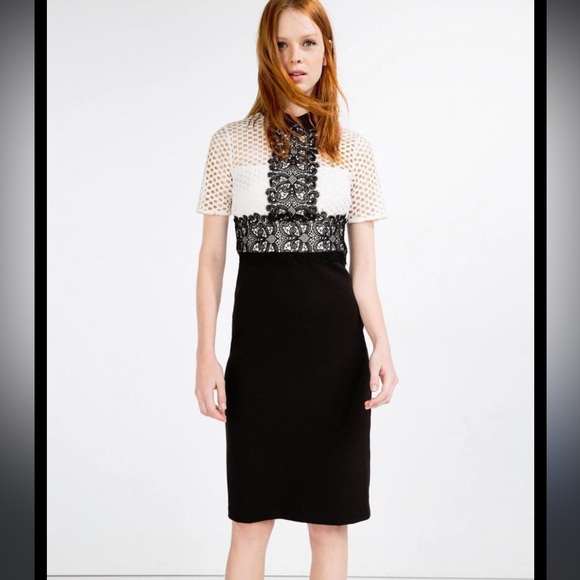 🛍️2for$20🛍️ [s] ZARA Dress white lace topped black with collar - Picture 1 of 13